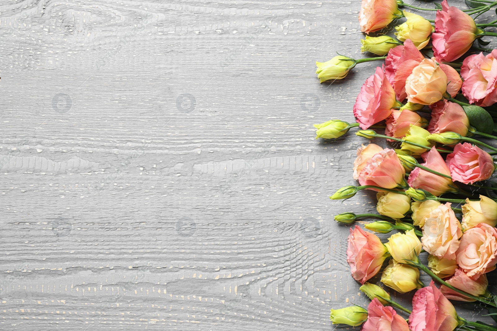 Photo of Flat lay composition with beautiful Eustoma flowers on wooden table, space for text