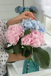 Woman with beautiful hortensia flowers in kitchen, closeup
