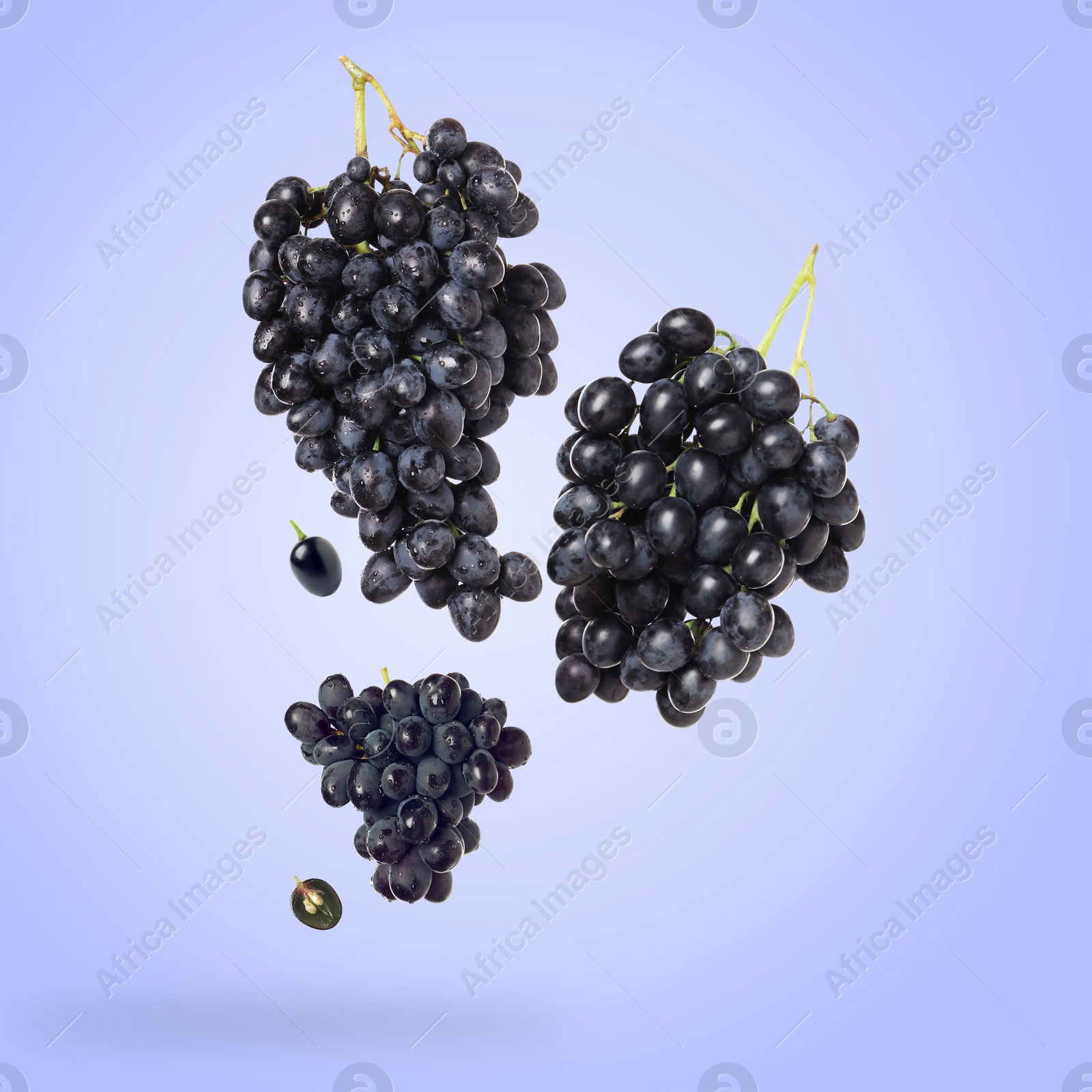 Image of Fresh grapes in air on light blue background