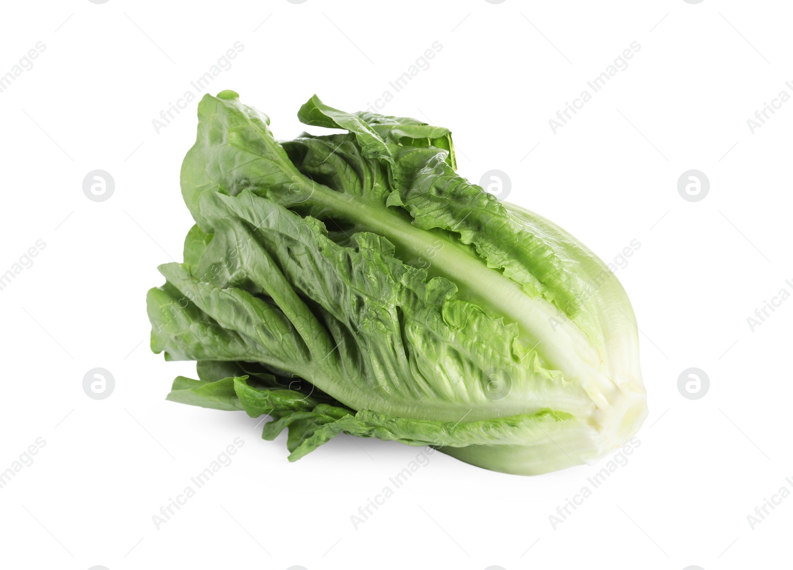 Photo of Fresh green romaine lettuce isolated on white