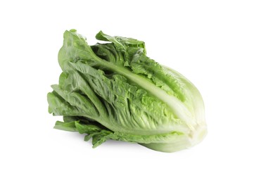 Photo of Fresh green romaine lettuce isolated on white