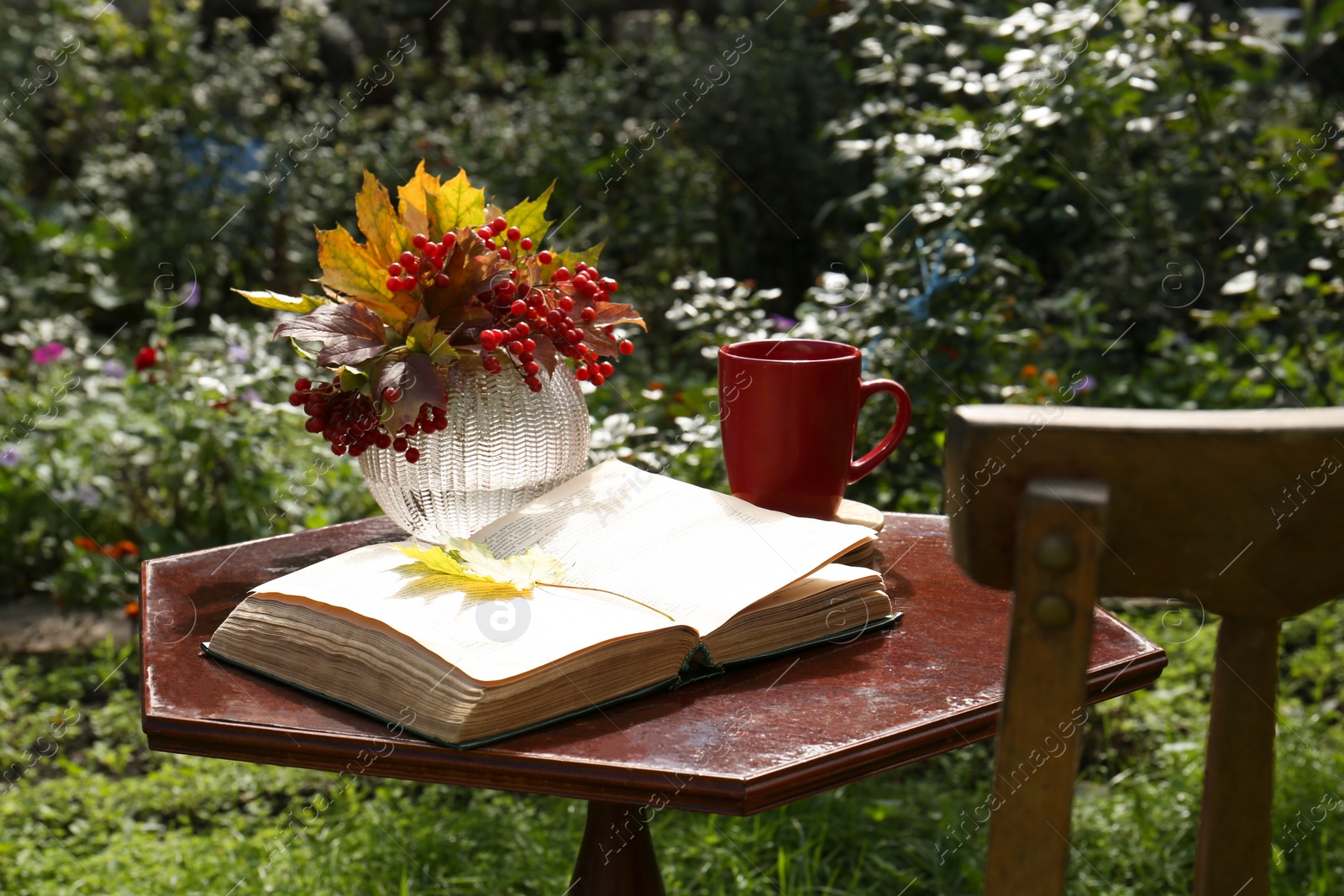 Photo of Cup of hot drink, book and dry leaves with viburnum on wooden table outdoors. Autumn atmosphere