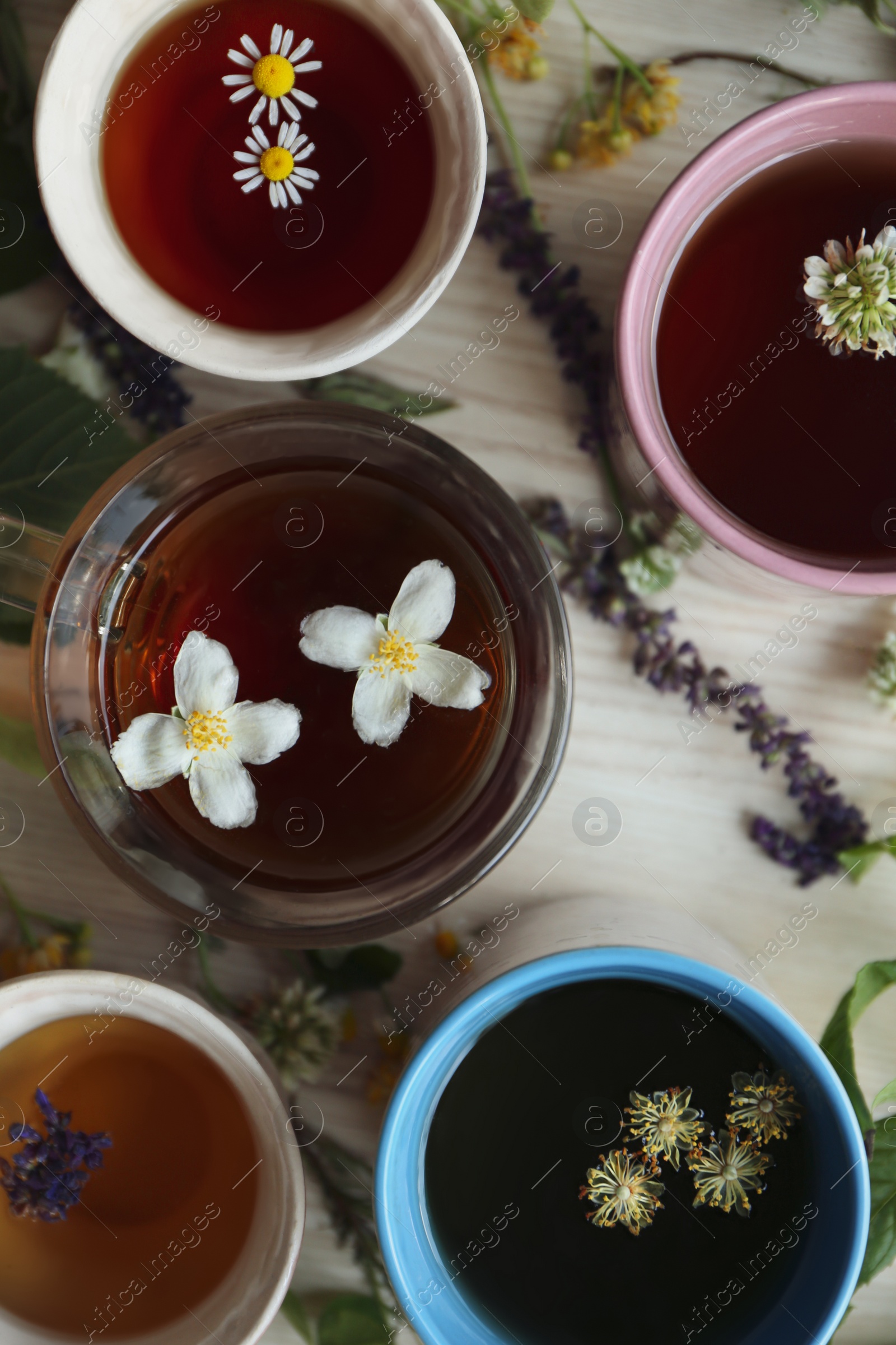 Photo of Different cups of hot aromatic tea and fresh herbs on white wooden table, flat lay