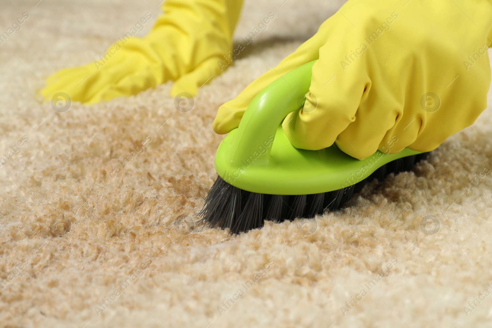 Photo of Woman removing stain from beige carpet, closeup