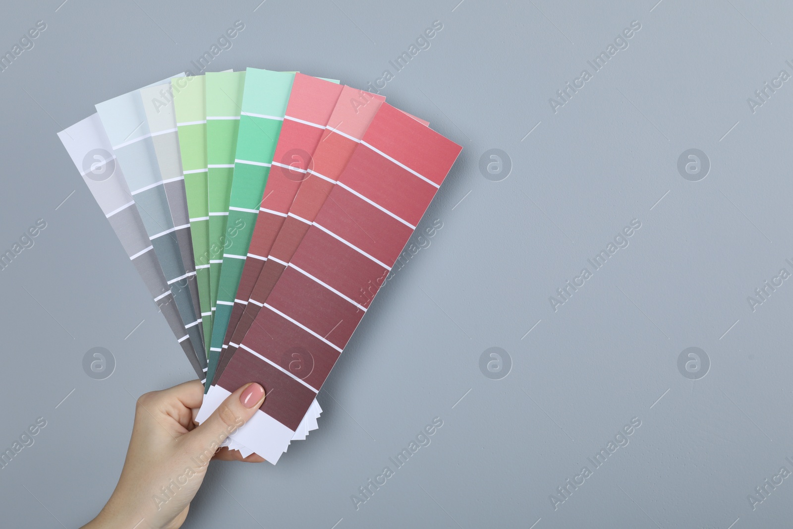 Photo of Woman with paint chips choosing color near grey wall, closeup. Interior design