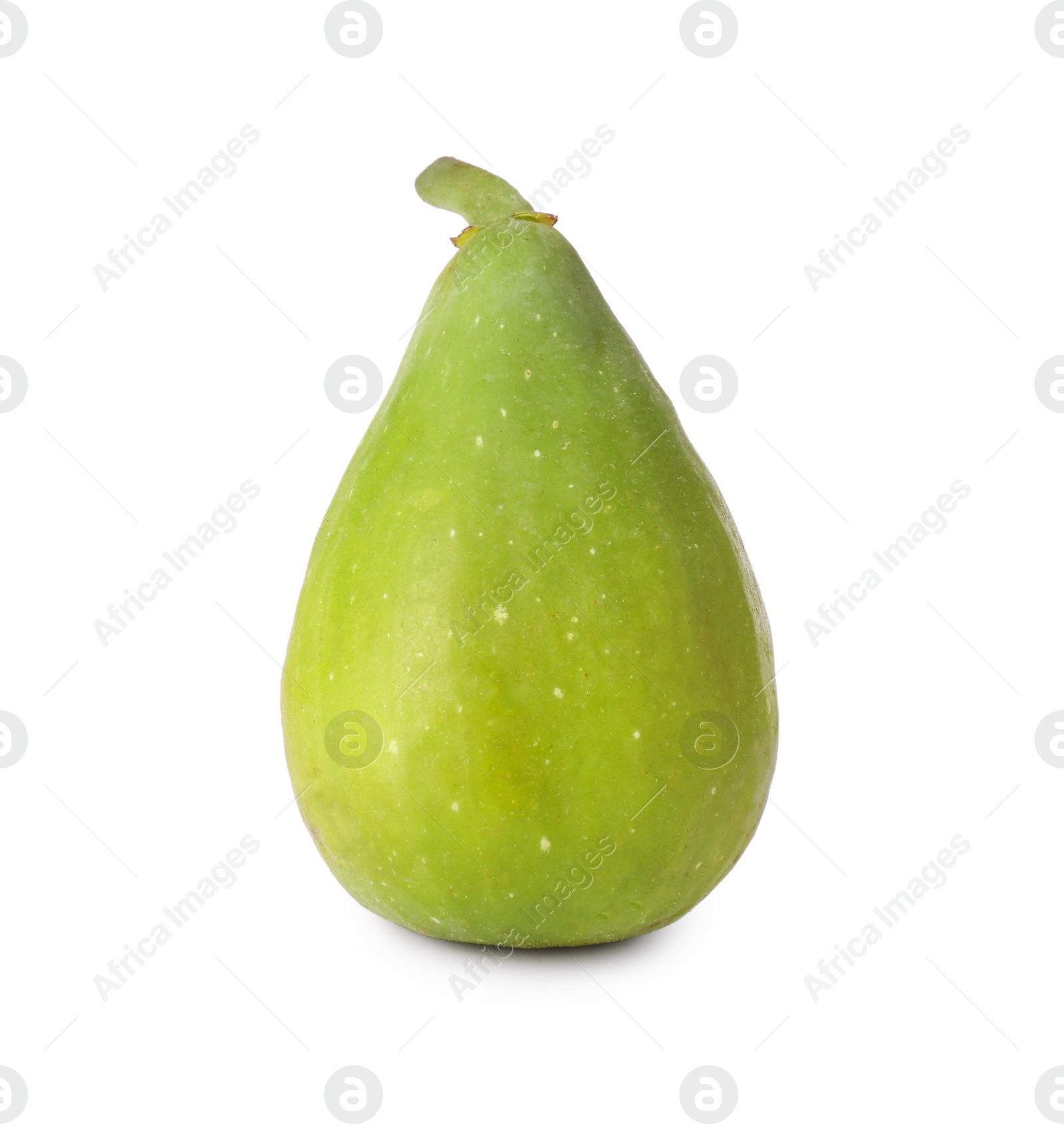 Photo of One ripe green fig isolated on white