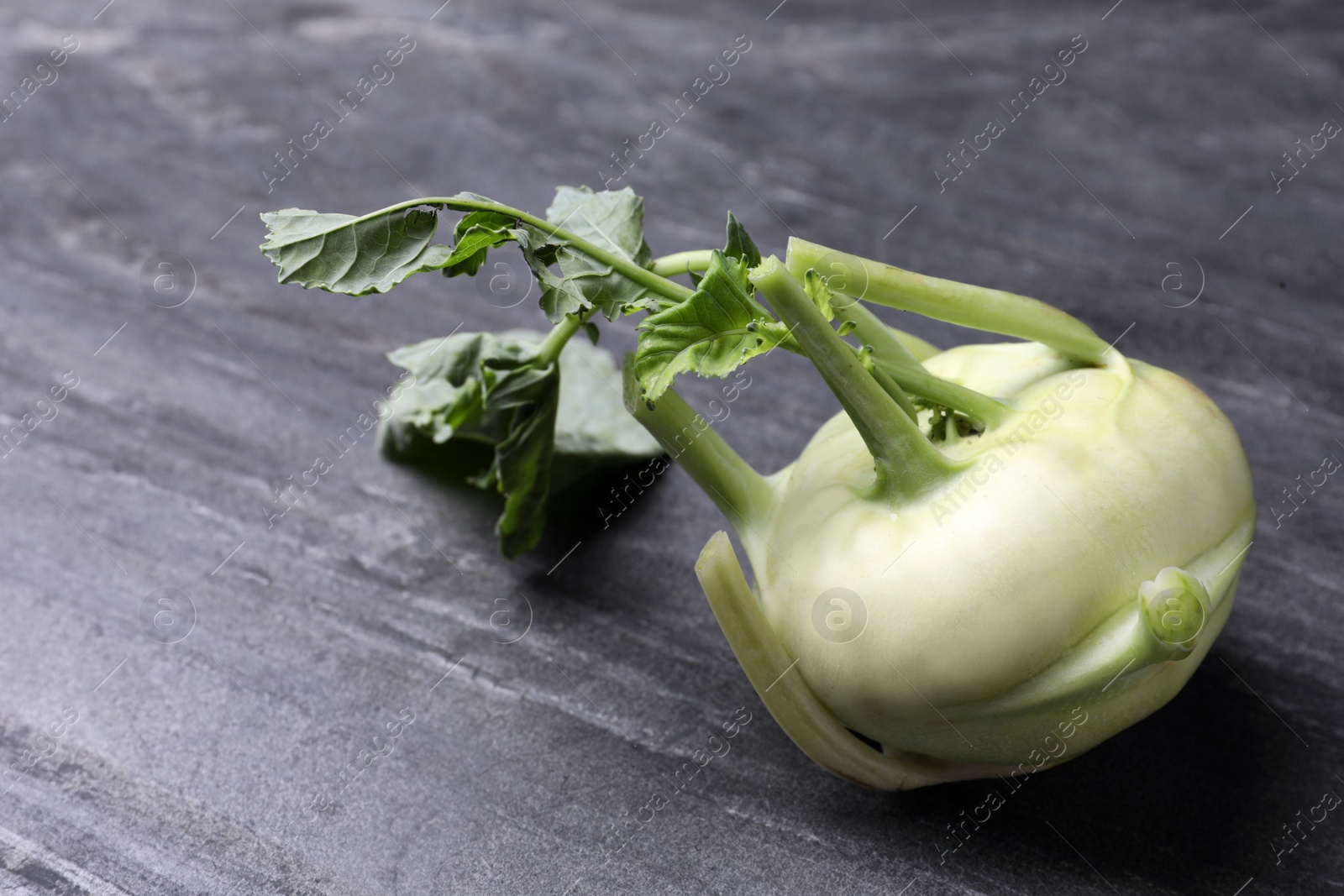 Photo of Whole ripe kohlrabi plant on grey table