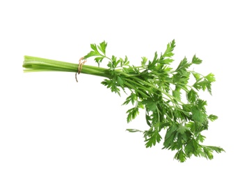 Photo of Bunch of fresh green parsley on white background