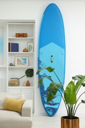 Photo of SUP board, shelving unit with different decor elements and green houseplant in room. Interior design