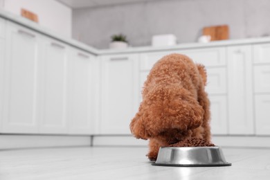 Photo of Cute Maltipoo dog feeding from metal bowl on floor in kitchen, space for text. Lovely pet