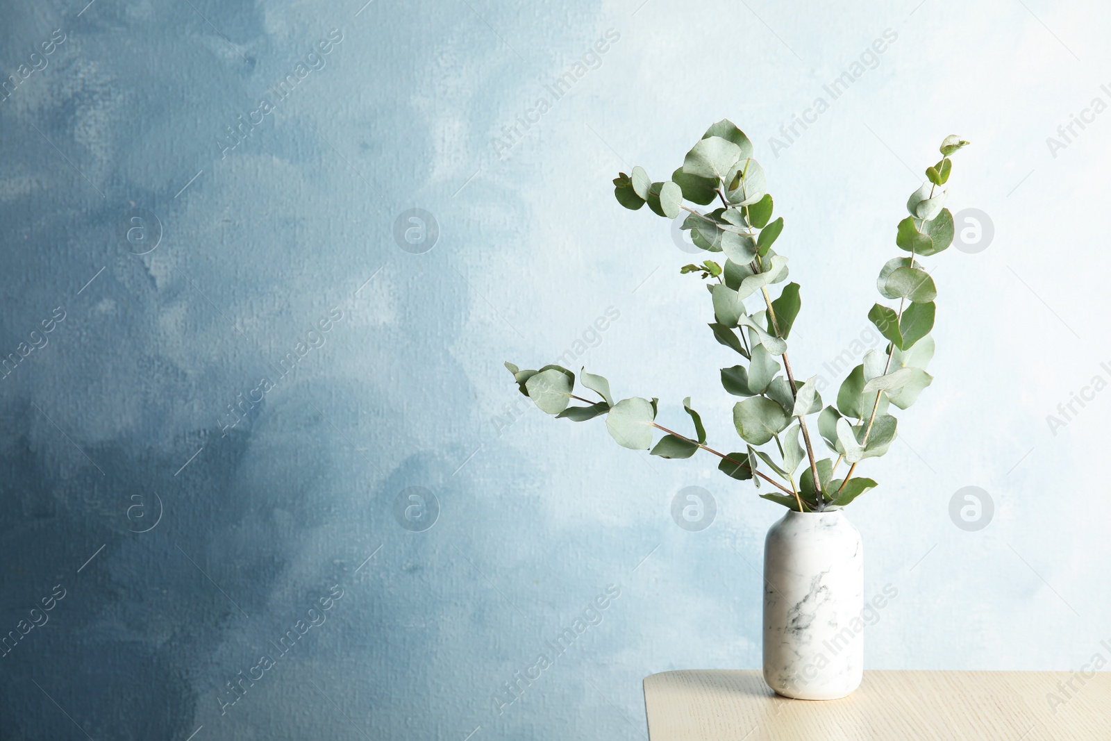 Photo of Bunch of eucalyptus branches with fresh leaves in vase on table