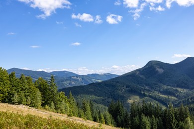 Image of Beautiful mountain landscape with forest on sunny day. Drone photography