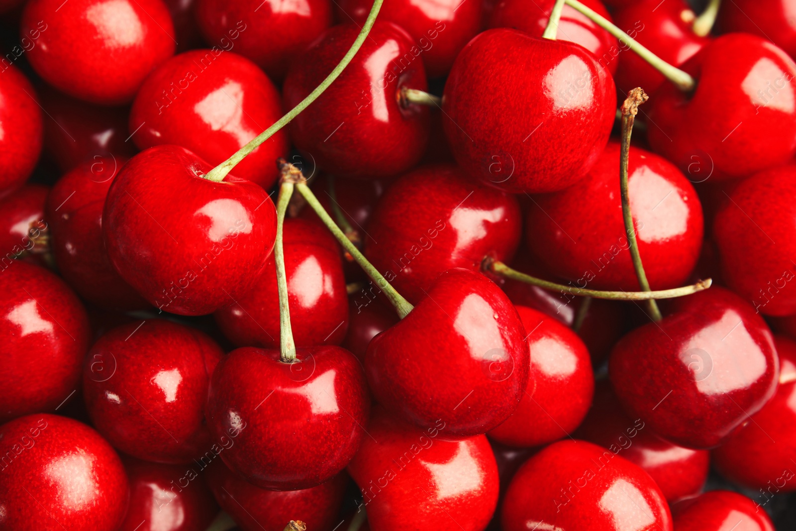 Photo of Delicious ripe sweet cherries as background, top view