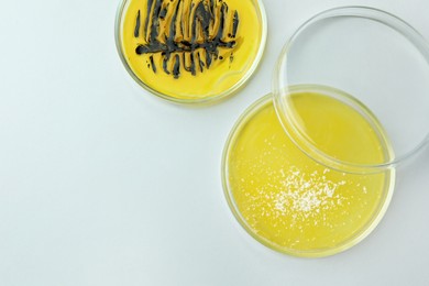 Photo of Petri dishes with different bacteria colonies on white background, flat lay. Space for text