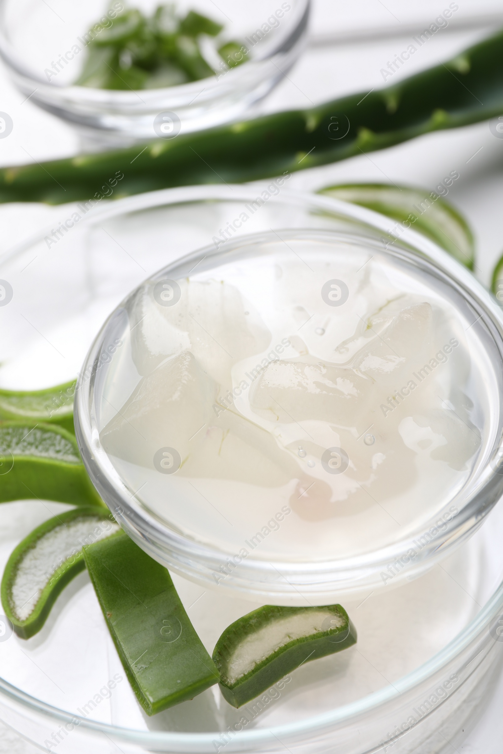 Photo of Aloe vera gel and slices of plant on white background, closeup