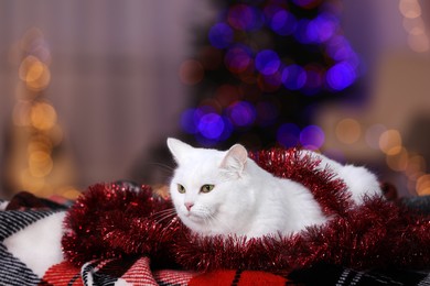 Photo of Christmas atmosphere. Cute cat with tinsel lying on plaid indoors. Space for text