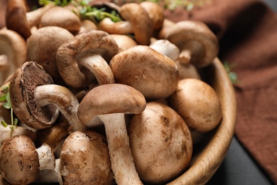 Different fresh wild mushrooms in bowl on table, closeup