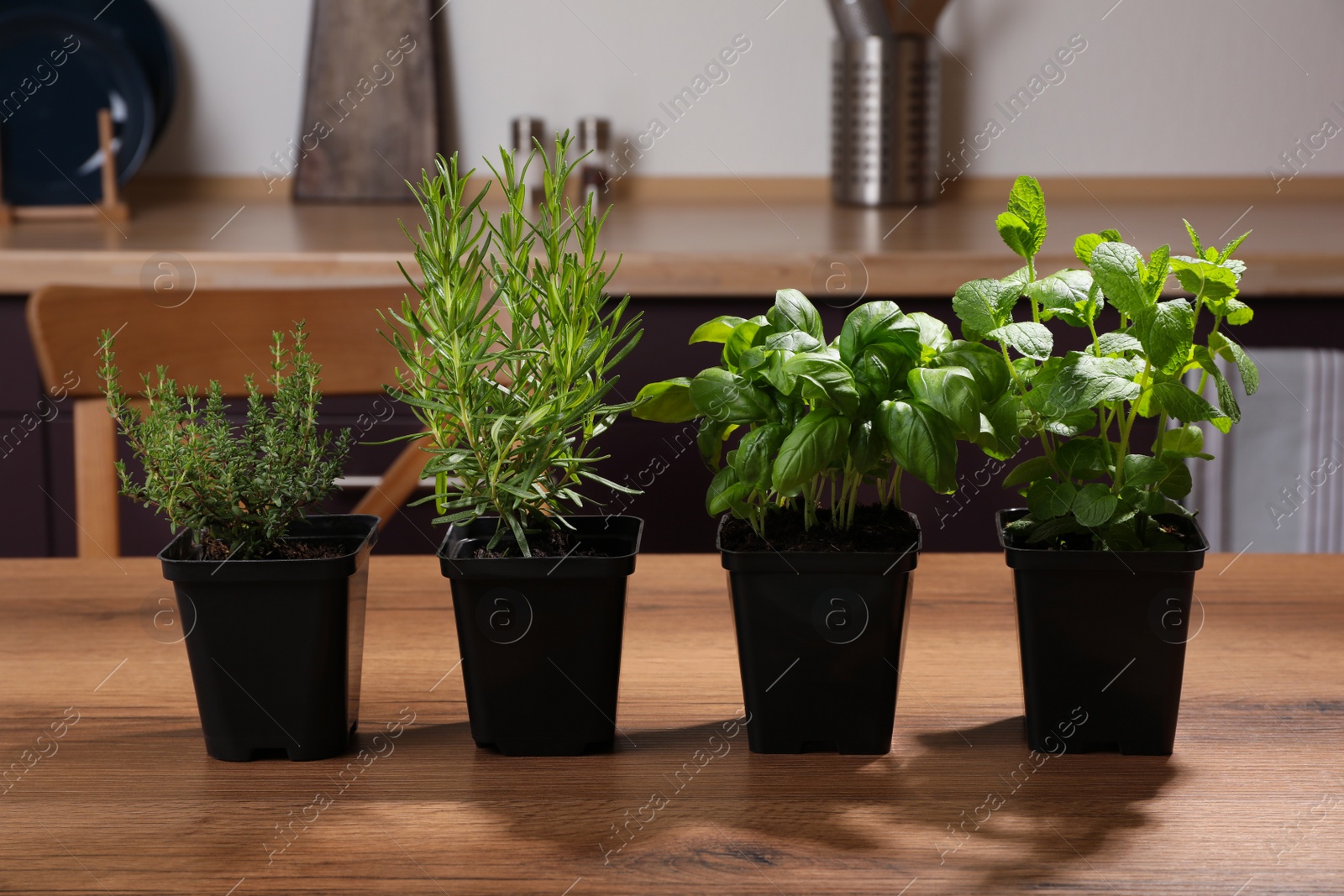 Photo of Pots with basil, thyme, mint and rosemary on wooden table in kitchen