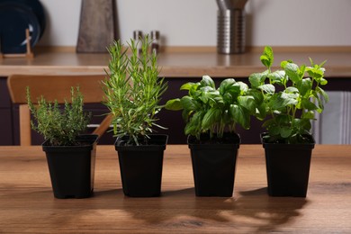Photo of Pots with basil, thyme, mint and rosemary on wooden table in kitchen