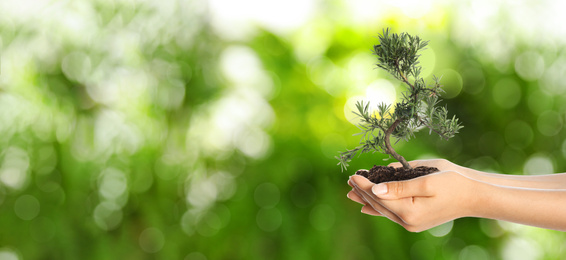 Image of Woman holding small tree in soil on blurred green background, banner design with space for text. Ecology protection