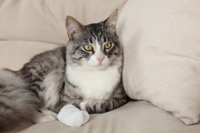 Photo of Cute cat with paw wrapped in medical bandage on sofa indoors