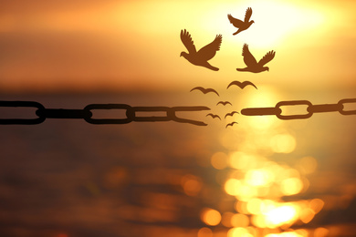 Image of Freedom concept. Silhouettes of broken chain and birds flying over sea at sunset