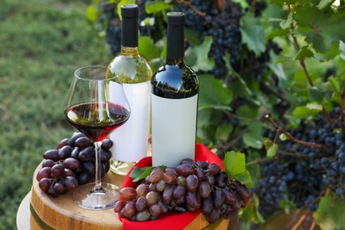 Composition with wine and ripe grapes on barrel in vineyard