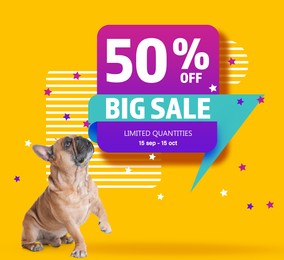 Image of Advertising poster Pet Shop SALE. Cute dog and discount offer on yellow background