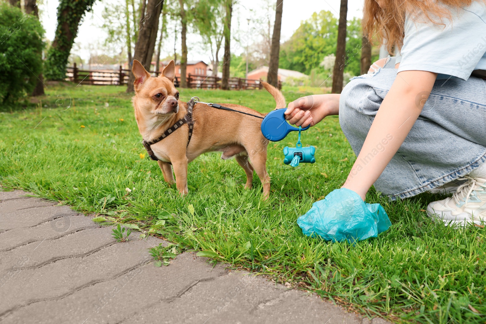 Photo of Woman picking up her dog's poop from green grass in park, closeup