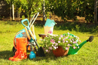 Photo of Set of gardening tools on grass outdoors