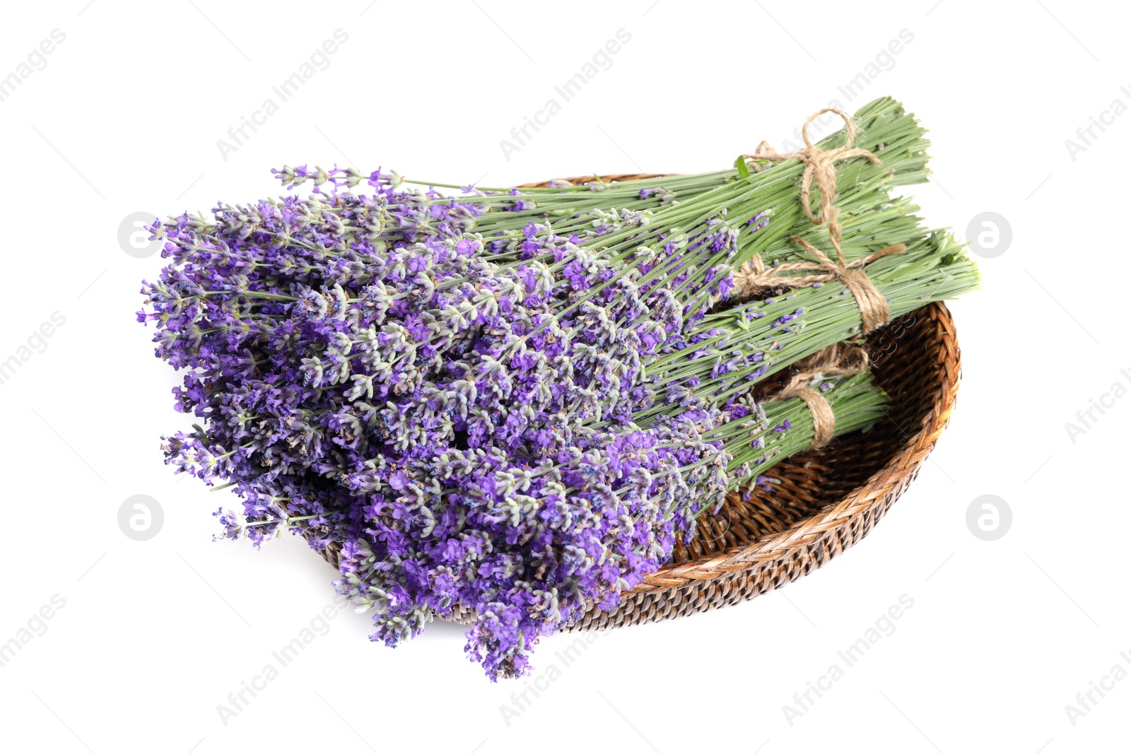 Photo of Fresh lavender flowers in basket on white background