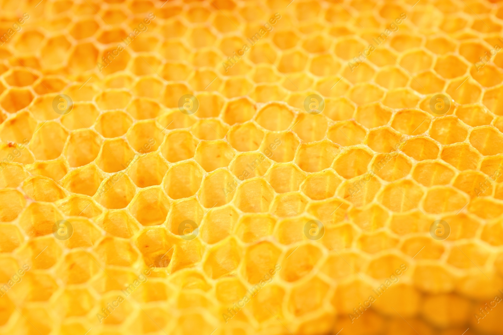 Photo of Texture of empty honeycomb as background, closeup view