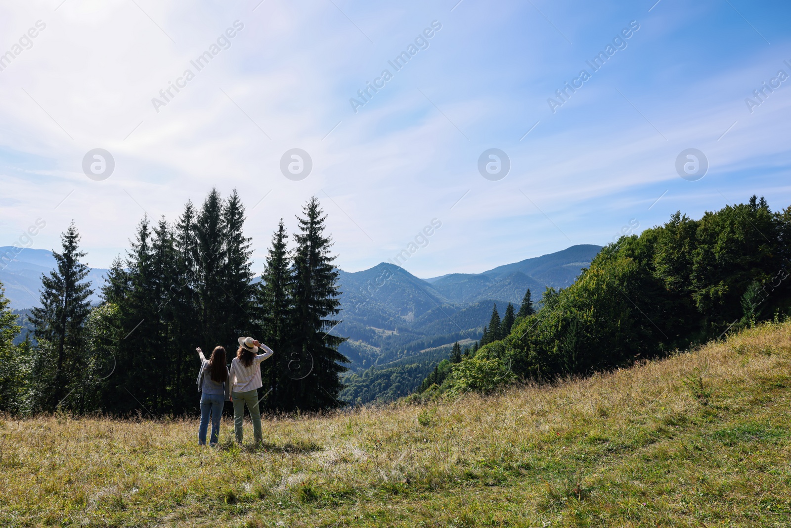 Photo of Women enjoying mountain landscape on sunny day, back view. Space for text