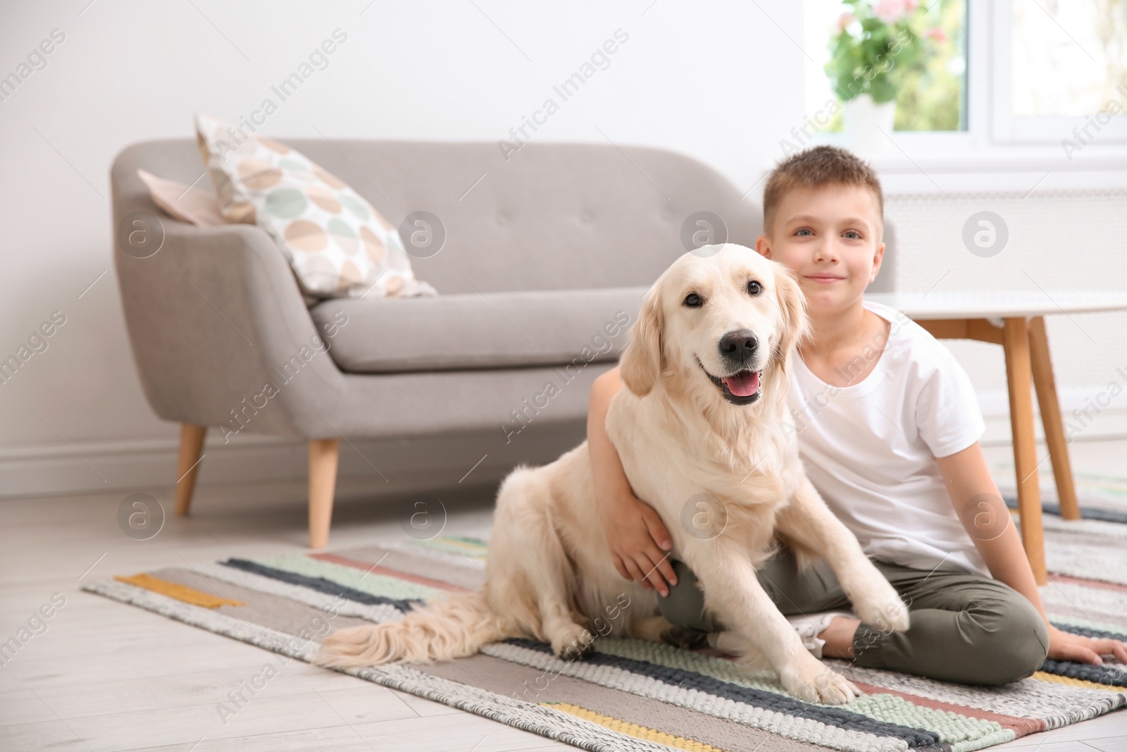 Photo of Cute little child with his pet on floor at home