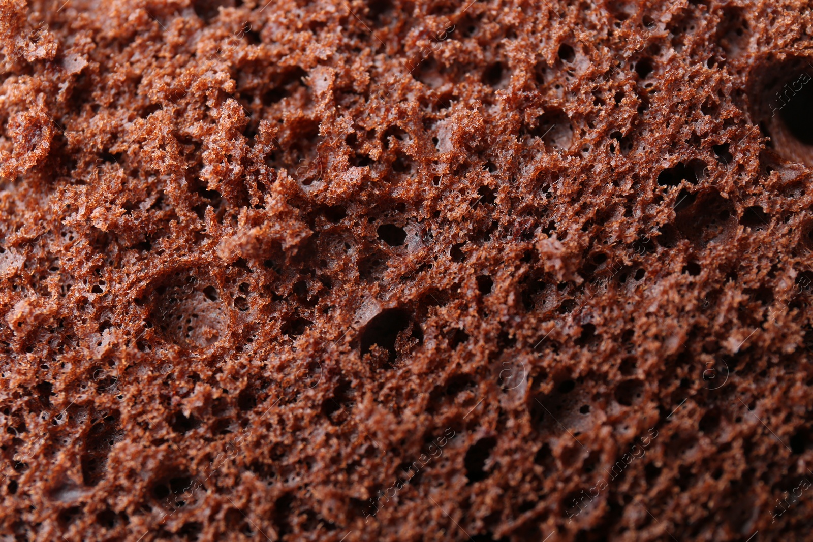 Photo of Tasty chocolate sponge cake as background, closeup