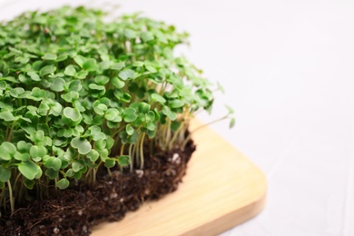 Fresh organic microgreen on white table, closeup