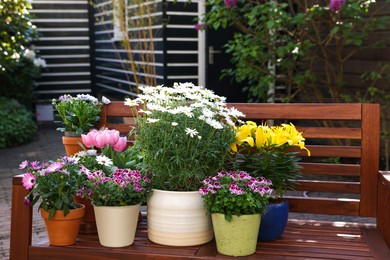 Photo of Many different beautiful blooming plants in flowerpots on wooden bench outdoors