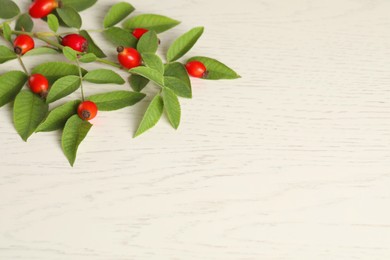 Rose hip branch with ripe red berries and green leaves on white wooden table, above view. Space for text