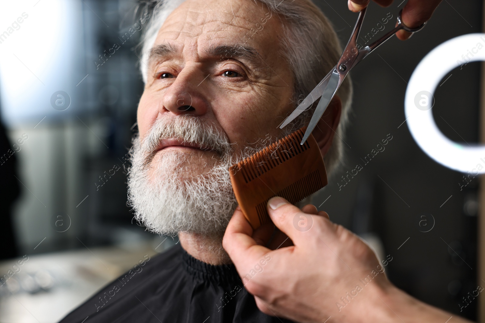 Photo of Professional barber trimming client's beard with scissors in barbershop