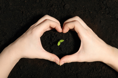 Woman making heart with hands near green seedling on soil, top view