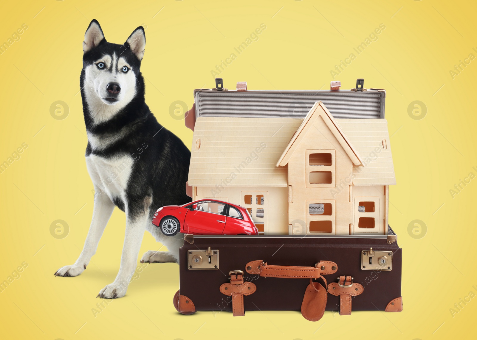Image of Cute dog near retro suitcase with model of house and miniature car on yellow background