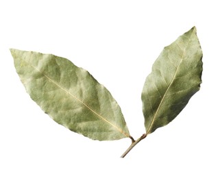 Photo of Branch of aromatic bay leaves on white background