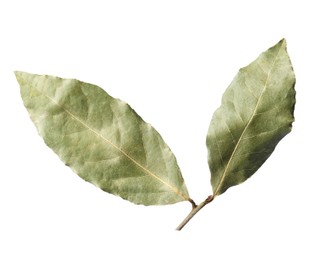 Branch of aromatic bay leaves on white background