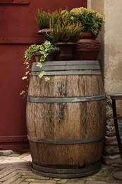 Traditional wooden barrel and beautiful houseplants outdoors