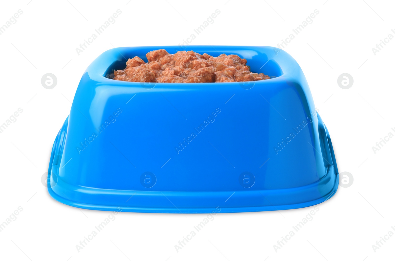 Photo of Wet pet food in feeding bowl isolated on white