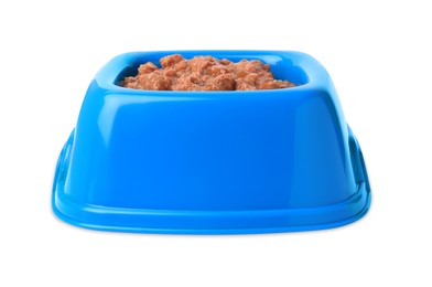 Photo of Wet pet food in feeding bowl isolated on white