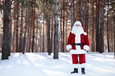 Photo of Happy Authentic Santa Claus in forest. Christmas holidays