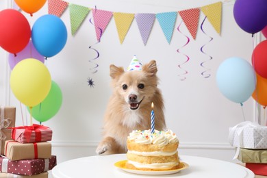 Photo of Cute dog wearing party hat at table with delicious birthday cake in decorated room