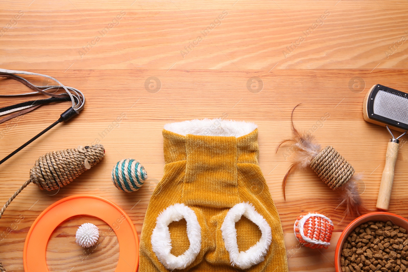 Photo of Flat lay composition with cat clothes, food and accessories on wooden table. Space for text