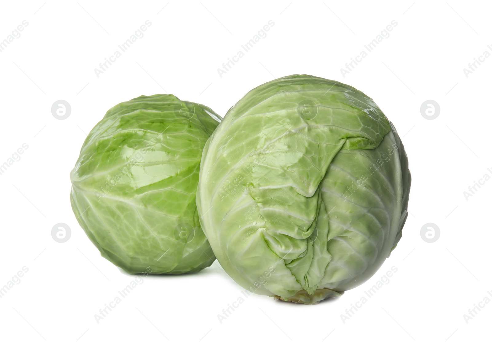 Photo of Whole cabbages on white background. Healthy food